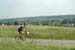DSCF0101